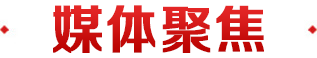 媒体聚焦